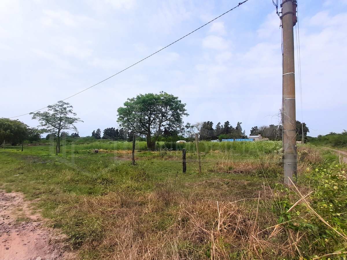 NOVA INMOBILIARIA