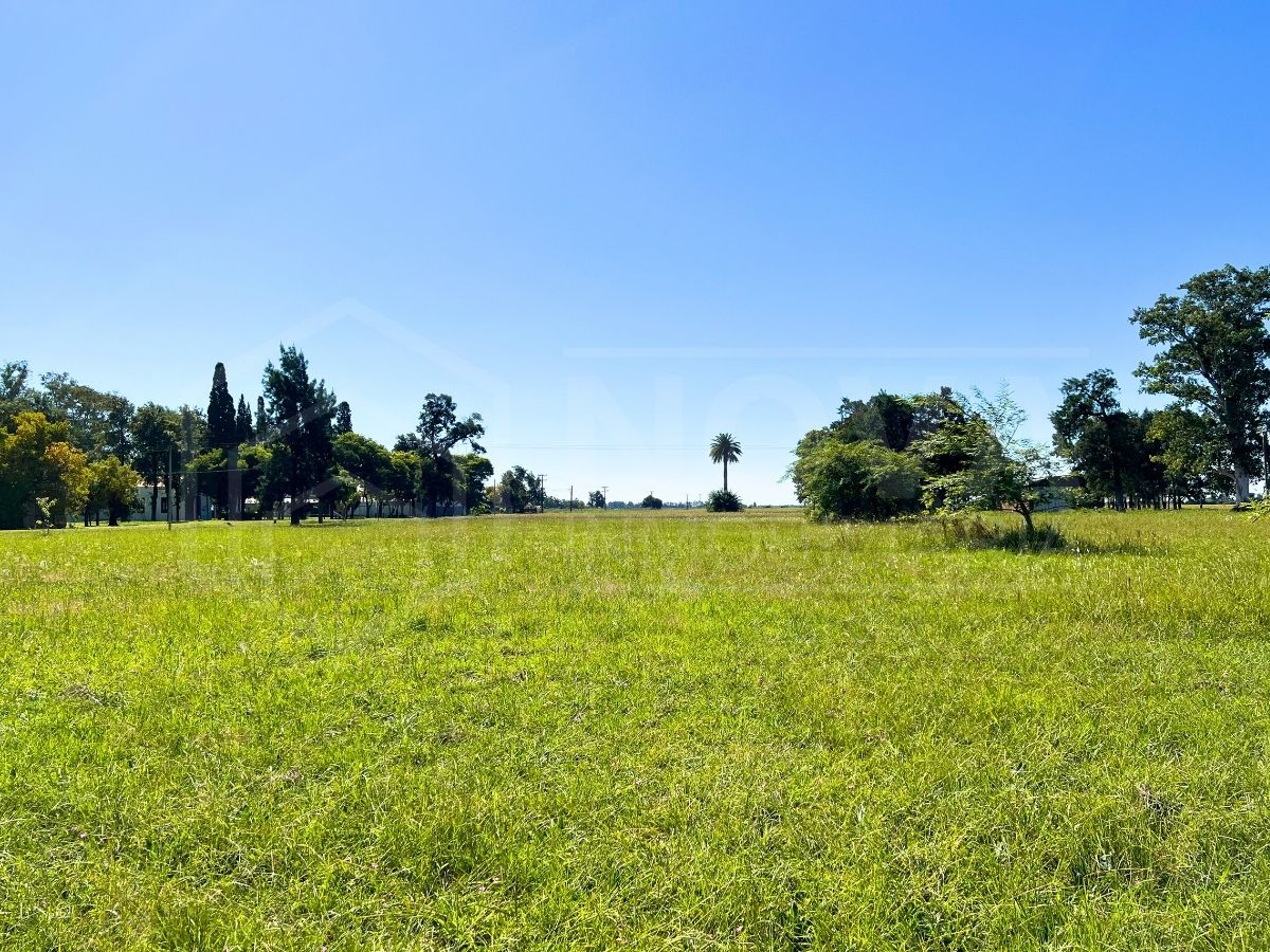 NOVA INMOBILIARIA